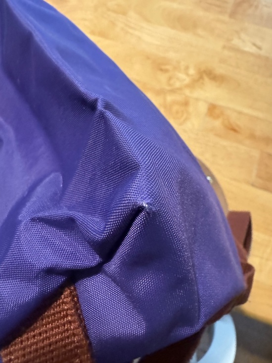 Longchamp Le Pliage Original Backpack Amethyst main image 8